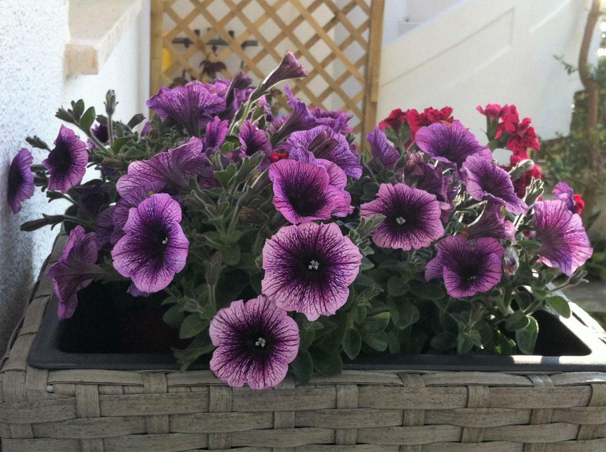 B&B Viadelmare Patu Luaran gambar